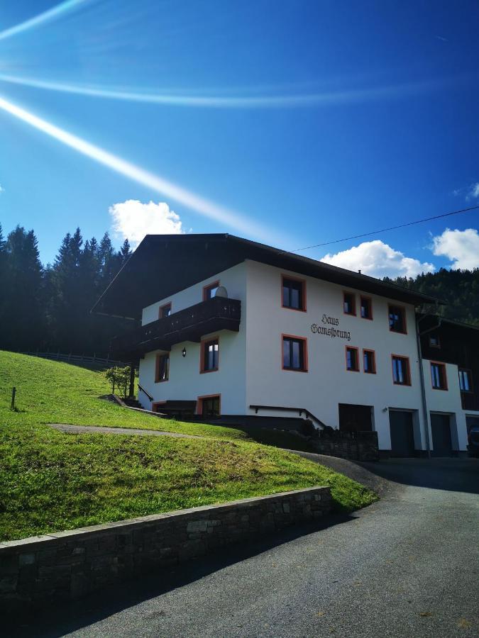 Apartment Haus Gamssprung
