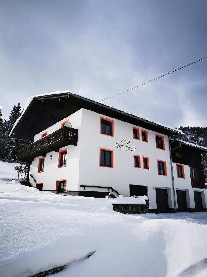 Haus Gamssprung Apartment