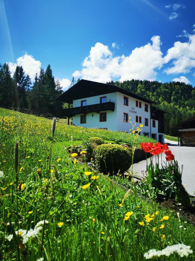 Apartment Haus Gamssprung Steinberg am Rofan