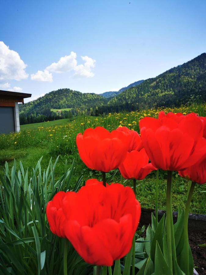 Apartment Haus Gamssprung *