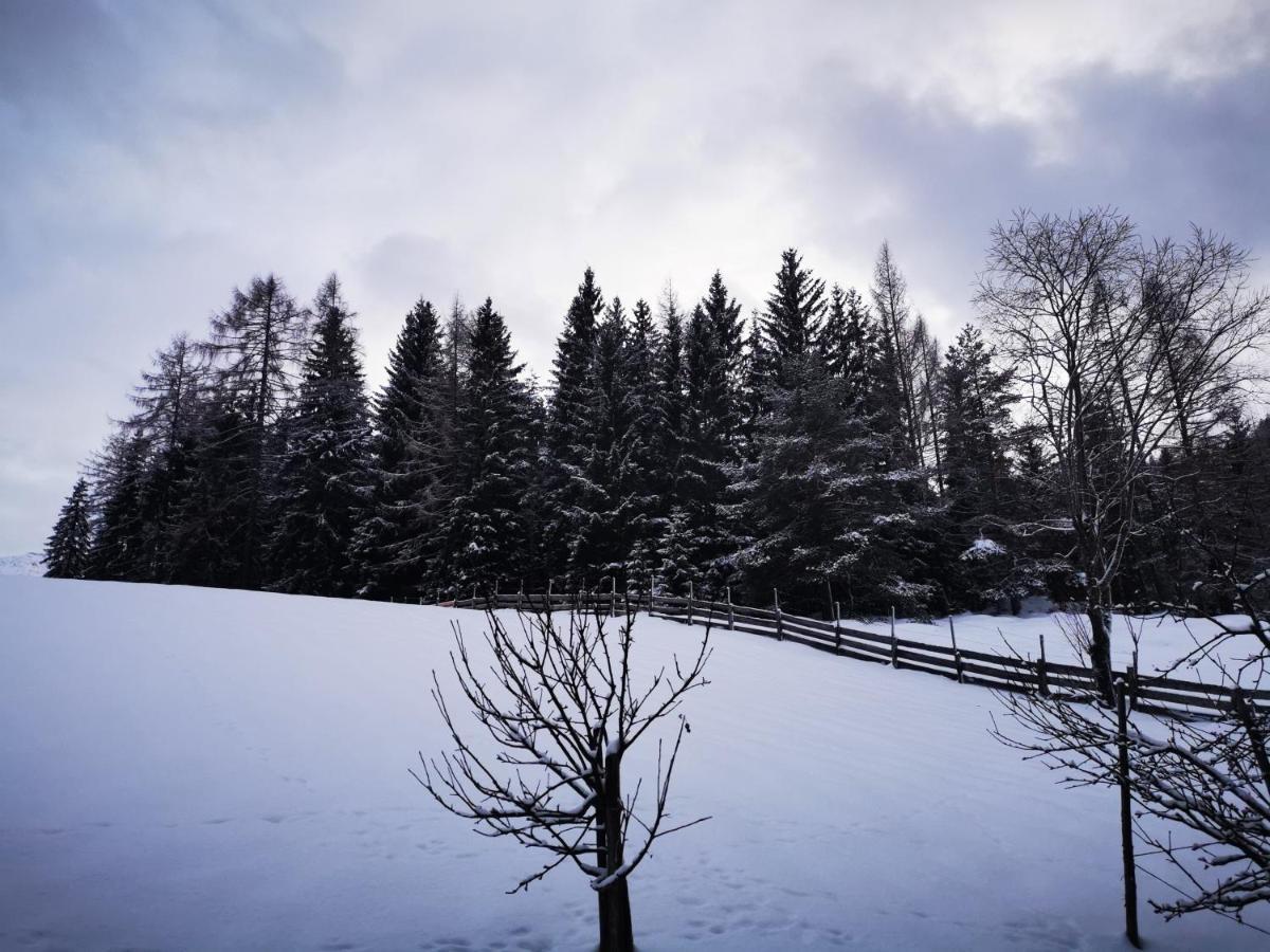 Haus Gamssprung
